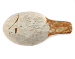 Attributed to Nampeyo of Hano (1859-1942) - Hopi Polychrome Ladle c. 1890s, 4" x 2" x 1"