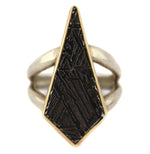 Marco Patania - Meteorite, 18K Gold, and Sterling Silver Ring, size 10.5