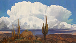 Dennis Ziemienski - Sonoran Desert Monsoon