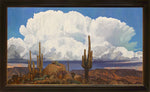 Dennis Ziemienski - Sonoran Desert Monsoon