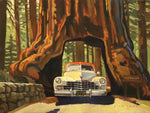 Dennis Ziemienski - Yosemite Drive-Thru