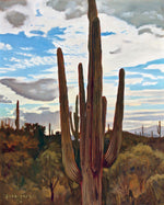 Dennis Ziemienski - Sonoran Sunrise