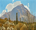 Dennis Ziemienski - Desert Peak