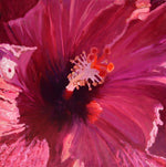 Moira Marti Geoffrion - Red Hibiscus Center