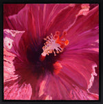 Moira Marti Geoffrion - Red Hibiscus Center