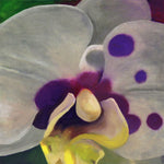 Moira Marti Geoffrion - Spotted Orchid Center