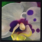 Moira Marti Geoffrion - Spotted Orchid Center