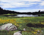 Moira Marti Geoffrion - Grand Mesa Lake