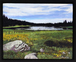 Moira Marti Geoffrion - Grand Mesa Lake