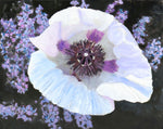 Moira Marti Geoffrion - White Poppy