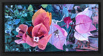 Moira Marti Geoffrion - Bougainvillea Blooms