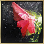Moira Marti Geoffrion - Rain Shower on Hibiscus