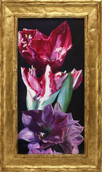 Moira Marti Geoffrion - Amaryllis Blooms