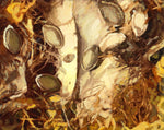 Moira Marti Geoffrion - Pumpkin Seeds (PLV90762-0523-002-B)