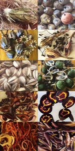 Moira Marti Geoffrion - Pods, Plants, and Parts #10 (PLV90762-1223-005)
