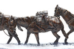 Fred Fellows, CAA - Breaking Trail, Edition of 100
