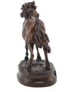 Deborah Copenhaver-Fellows, NSS - Bad Hair Day, Edition of 100