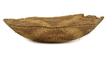 Northwest Coast Tray with Squash Blossom Design c. 1900s, 3.5" x 14.5"