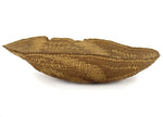 Northwest Coast Tray with Squash Blossom Design c. 1900s, 3.5" x 14.5"