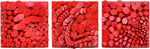 Shirley Wagner - Revlon Red