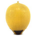 Rose Cabat (1914-2015) - Uranium Deep Yellow Feelie c. 1960s, 4.25" x 3"