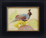 Ezra Tucker - Gambel's Quail and Prickly Pear