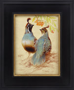 Ezra Tucker - Gambel's Quail and Berries