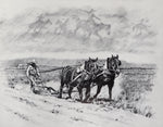 Fred Fellows, CAA - Breaking Out the Flatland 84/1000