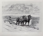 Fred Fellows, CAA - Breaking Out the Flatland 84/1000