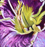 Moira Marti Geoffrion - Bearded Iris Center
