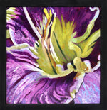 Moira Marti Geoffrion - Bearded Iris Center