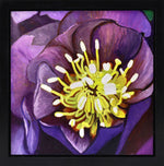 Moira Marti Geoffrion - Lenten Rose Center (Purple)