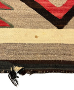 Navajo Crystal Rug with Waterbug Design c. 1915, 46" x 34"