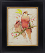 Ezra Tucker - Mourning Dove