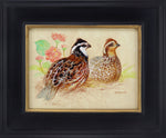Ezra Tucker - Bobwhite