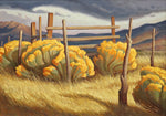 Greg Newbold - Chamisa Fenceline