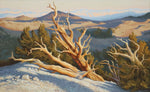 Greg Newbold - Timeworn