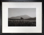 Barbara Van Cleve (b. 1935) - Twilight Ride (FRAMED)