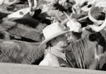 Barbara Van Cleve (b. 1935) - Sorting Cattle in a Crowd: Ann Holland Daughtery, 5/50 (UNFRAMED)