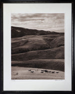 Barbara Van Cleve (b. 1935) - Filly Chasing (FRAMED)