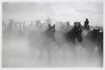 Barbara Van Cleve (b. 1935) - Ghost Horses (FRAMED)