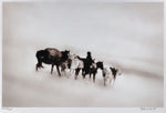 Barbara Van Cleve (b. 1935) - Ground Blizzard (FRAMED)