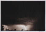 Barbara Van Cleve (b. 1935) - Hot Storm  (FRAMED)