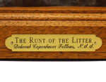 Deborah Copenhaver-Fellows - Runt of the Litter
