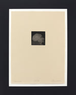 Group of 10: Fritz Scholder (1937-2005) - Portraits of Native Americans (Lithographs)