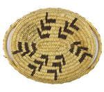 Tohono O'odham Tray c. 1940s, 9" x 12"