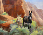 Veryl Goodnight - Canyon Guides