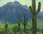 Gregory Hull - Desert Flora