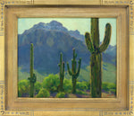 Gregory Hull - Desert Flora