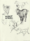 T. C. Cannon (1946-1978) - 2 Studies: "Horse Studies" and "Horse" (PDC90254C-0823-001)